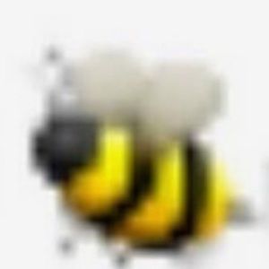 Meet your Posher, Elisa